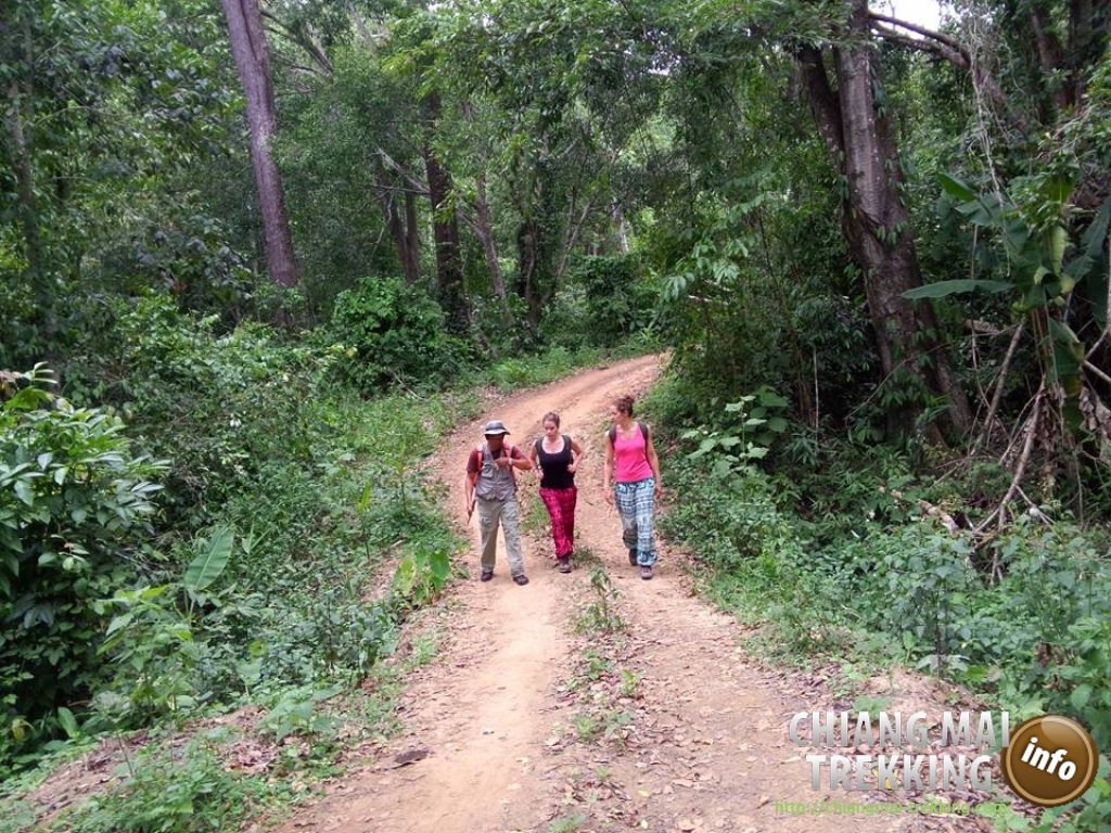 Natalie & friend | Chiang Mai Trekking | The best trekking in Chiang Mai with Piroon Nantaya